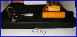 Delta Dolce Vita medium fountain pen 18K fine nib 20 Anniversary