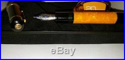 Delta Dolce Vita medium fountain pen 18K fine nib 20 Anniversary