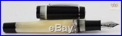 Delta Passion White Resin With Sterling Silver Trim Fountain Pen Superb Awesome