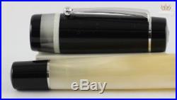 Delta Passion White Resin With Sterling Silver Trim Fountain Pen Superb Awesome
