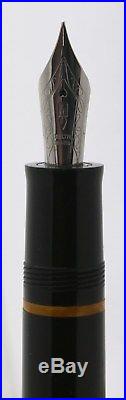 ESTATE FIND! Delta Dolcevita Fountain Pen withSterling Silver Trim & 18K Nib NICE