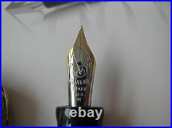 Marlen Maya Tikal Sterling Silver LE fountain pen 18kt gold Medium nib MIB