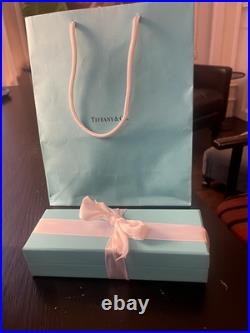 NEW! Tiffany & Co. Sterling Silver 925 Elsa Peretti Pen Teardrop BAG POUCH BOX