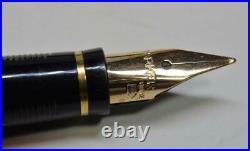 NIB 1999 Parker 75 MD Sterling Silver Cisele Fountain Pen 14k gold M nib France