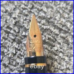 PARKER 75 Sterling Silver Vintage Fountain Pen 18K Gold Medium Nib