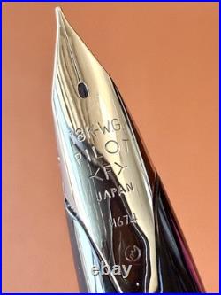 PILOT Elite Fountain Pen Sterling Silver 18K-750WG Nib-Fine H674-Vintage 1974