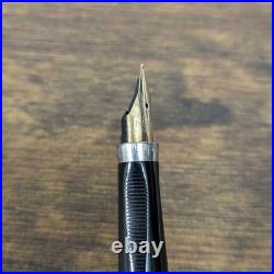 Parker 75 Cisele Sterling Silver Fountain Pen 14K Gold Fine Nib F France