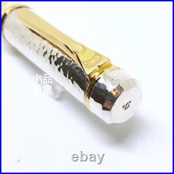Platinum Hammered Ag925 Sterling Silver with Pt 790 nib Fountain Pen