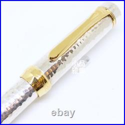 Platinum Hammered Ag925 Sterling Silver with Pt 790 nib Fountain Pen
