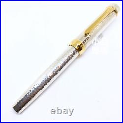 Platinum Hammered Ag925 Sterling Silver with Pt 790 nib Fountain Pen
