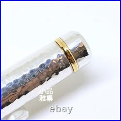 Platinum Hammered Ag925 Sterling Silver with Pt 790 nib Fountain Pen