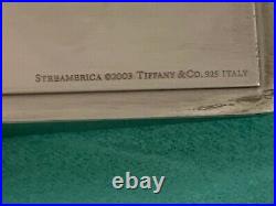 Rare Tiffany & Co Sterling Silver Streamerica Collection Pen Tray