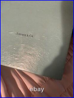 Tiffany Co Medical Caduceus Clip Sterling Silver Doctor Nurse Pen Note Card Set