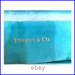 Tiffany & Co Sterling Silver Engraved Leaf Ballpoint Pen Bail For Chain Bag Box