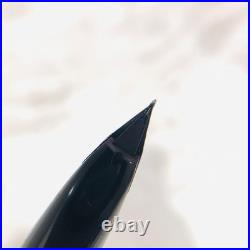 V-Pilot Custom Sterling Silver Fountain Pen