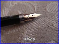 Vintage 1970's Sterling Silver PARKER 75 Fountain Pen, Flat End. 14K M NIB Clean