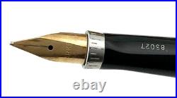 Vintage Parker 75 CISELE Sterling Silver Fountain Pen ITALIAN MARKET 14K F MINT